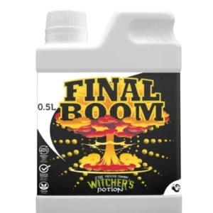 Final Boom