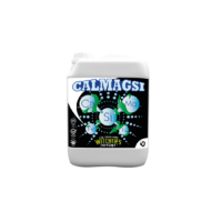 Calmagsi
