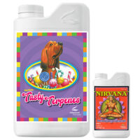 Tasty terpenes (Nirvana)