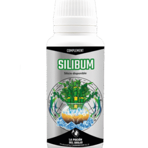 Silibum