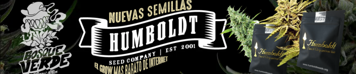 Sin título